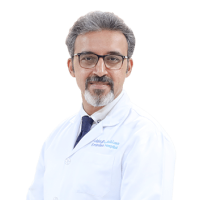 Dr. Seyed Hamed