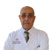 Dr. Ahmed Ateek